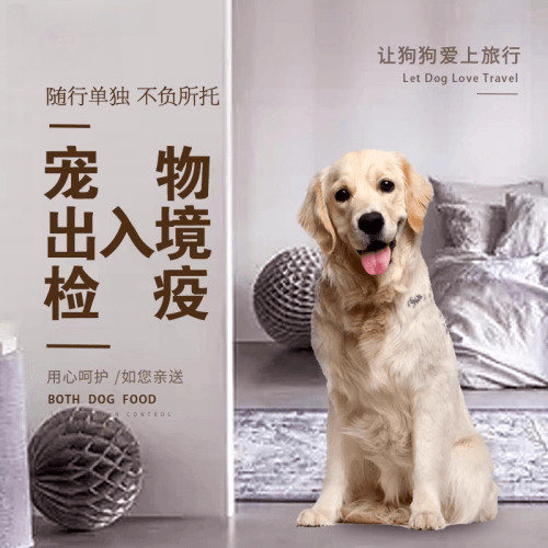 滁州市宠物托运到哥伦比亚猫狗宠物入境规定和