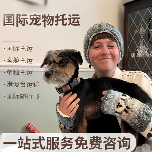 滁州市国际宠物托运到阿根廷宠物入境规定和要