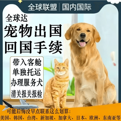 滁州市宠物托运到柬埔寨宠物入境规定和要求