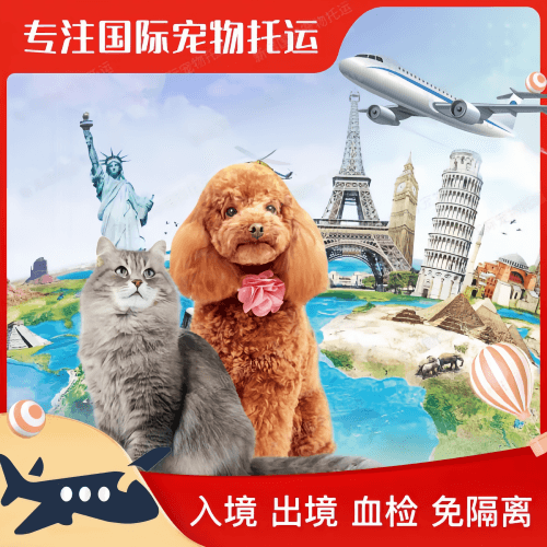 滁州市宠物托运到美国宠物入境最新规定和要求