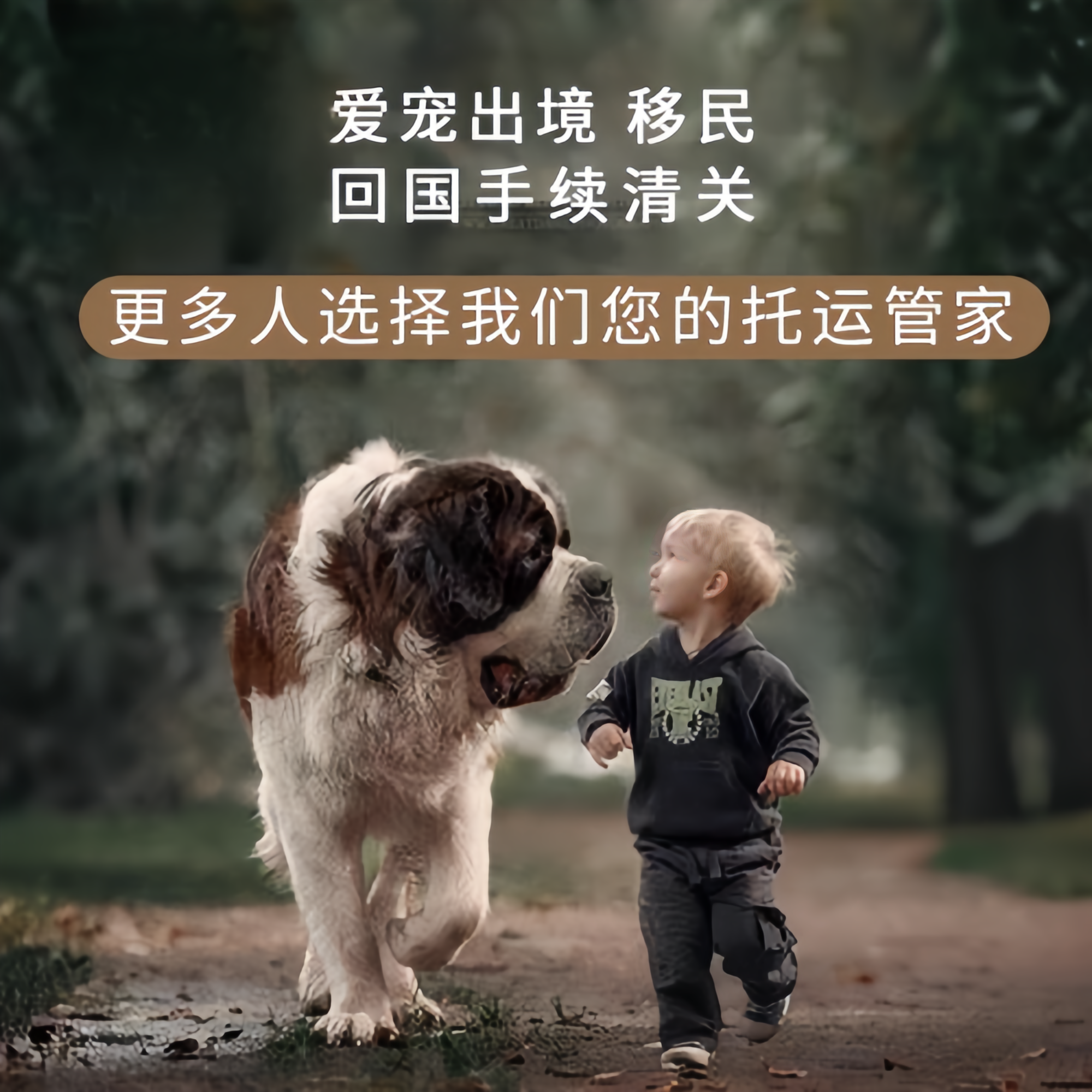 满财滁州市宠物全球达宠物托运在遵守入境目的地政策的条件