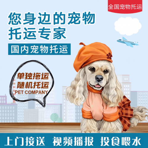 满财滁州市宠物全球达宠物托运作为专业的宠物运输代理机构